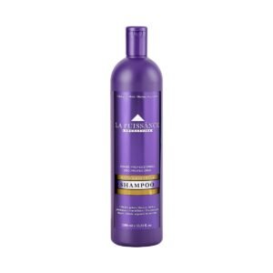 Shampoo Silver La Puissance 1000ml