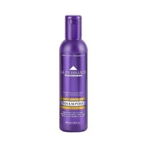 Shampoo Silver La Puissance 300ml